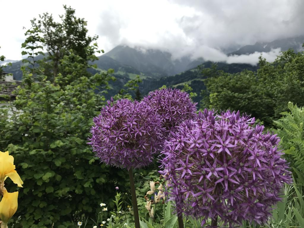 Ferienwohnung Laax Mit Traumblick, Grossem Balkon Und Terrasse المظهر الخارجي الصورة
