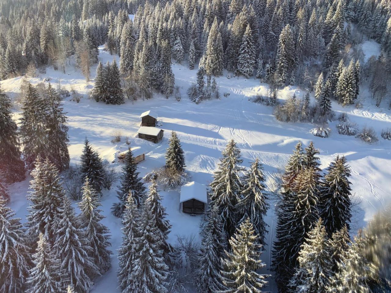 Ferienwohnung Laax Mit Traumblick, Grossem Balkon Und Terrasse المظهر الخارجي الصورة